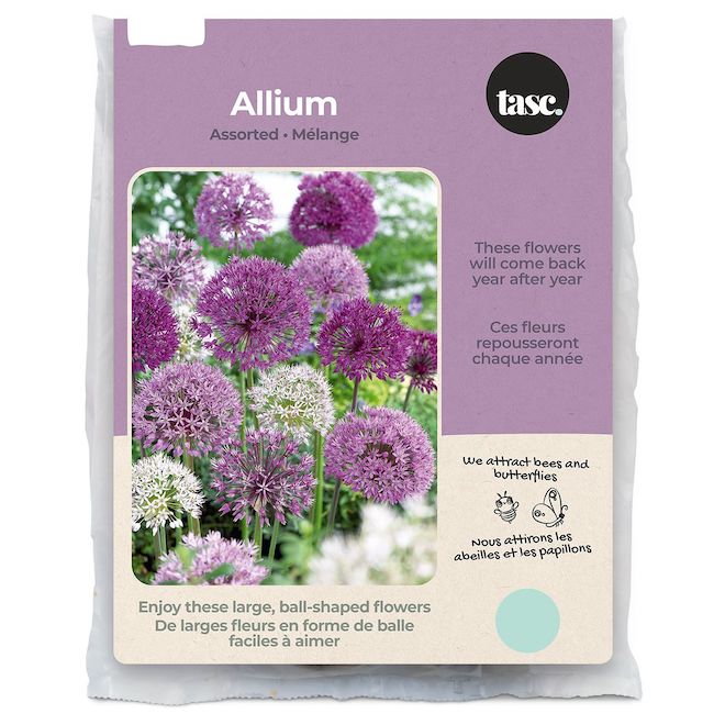 Tasc Assorted Allium Bulbs - Pack of 15