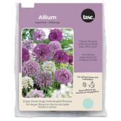 Tasc Assorted Allium Bulbs - Pack of 15