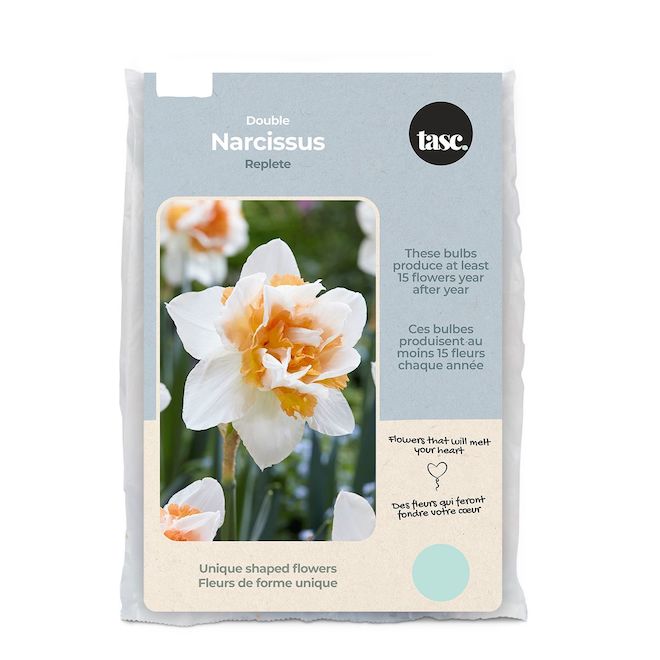 Tasc Replete Double Ready to Plant Narcissus Bulbs