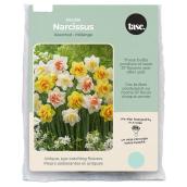 Tasc Assorted Double Narcissus Bulbs - Pack of 15