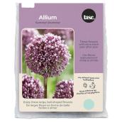 Tasc Summer Drummer Assorted Allium Bulbs - Pack of 7