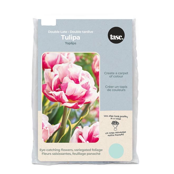 Tasc Toplips Double Late Ready to Plant Tulip Bulbs TUL7143 RONA