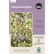 Tasc Ready to Plant Nectaroscordium Special Siculum Bulbs