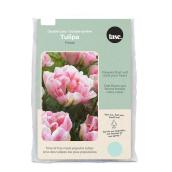 Tasc Ready to Plant Double Late Finola Tulip Bulbs
