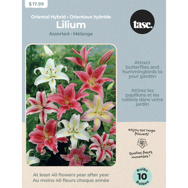 Tasc Oriental Hybrid Lily Bulb Assortment - 10 Bulbs