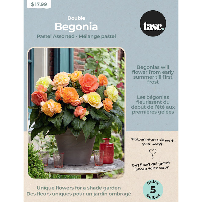 Tasc Double Pastel Begonia Bulb Assortment 5 Bulbs BEG0002 RONA