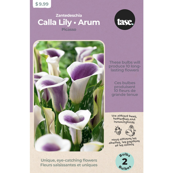 Tasc Arum Picasso Bulb Assortment - 2 Bulbs