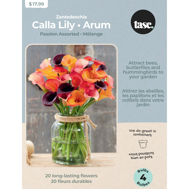 Tasc Passion Collection Zantedeschia Bulb Assortment - 4 Bulbs