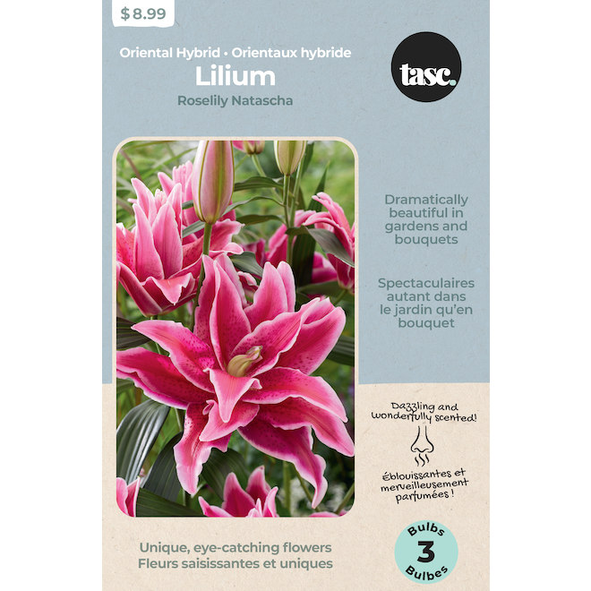 Tasc Oriental Hybrid Natascha Roselily Bulbs - 3 Counts