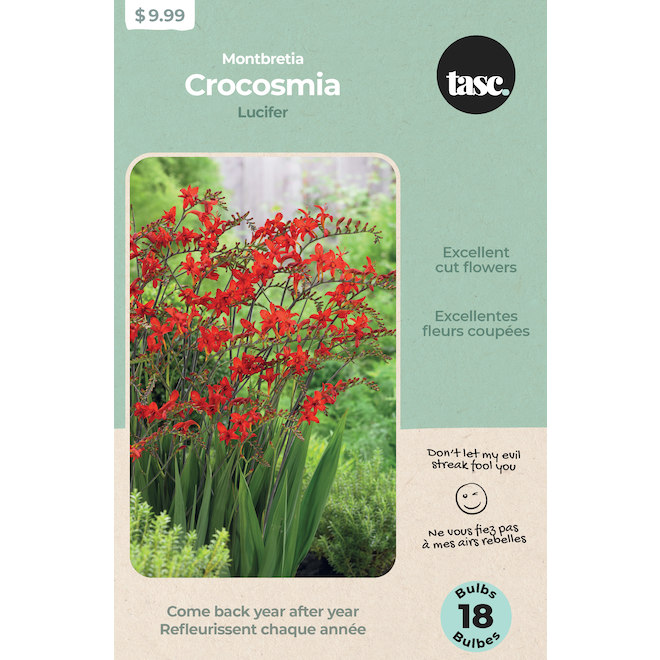 Tasc Crocosmia Lucifer Bulbs - 18 Counts