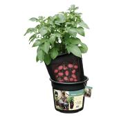 Tasc Black Potato Crop Pot