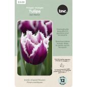 Tasc San Martin Tulip Bulbs