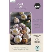 Tasc Assorted Allium Sativum Garlic Bulbs