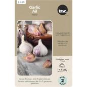 Tasc Assorted Allium Music Garlic Bulbs