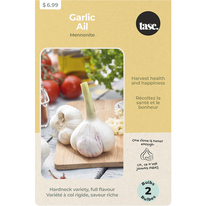 Tasc Assorted Allium Mennonite Garlic Bulbs