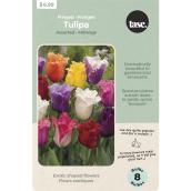 Tasc Assorted Fringed Tulips Bulbs