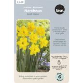 Tasc Dutch Master Assorted Trumpet Narcissus Bulbs