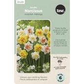 Tasc Assorted Double Narcissus Bulbs