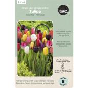 Bulbes de tulipes simples tardives Tasc