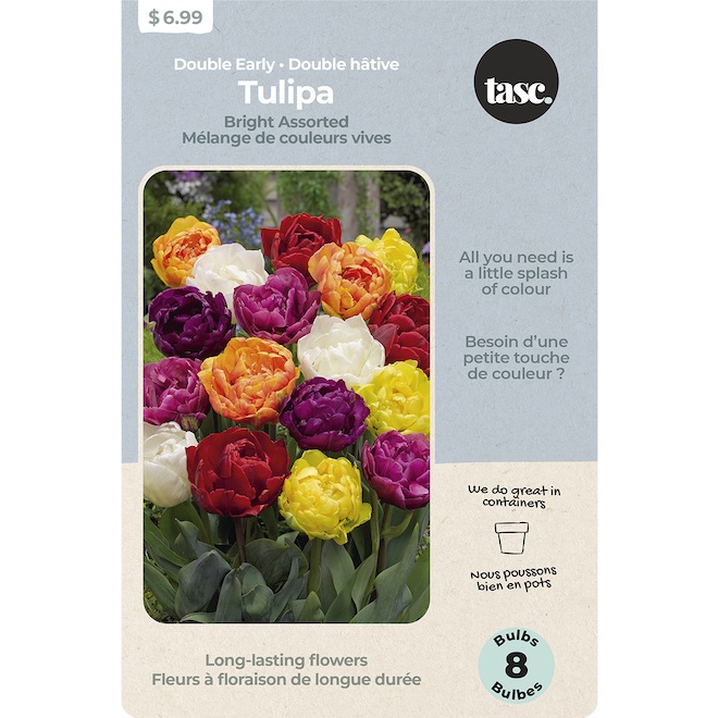 Tasc Double Early Tulip Bulbs