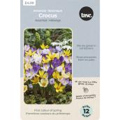 Tasc Assorted Specie Crocus Bulbs