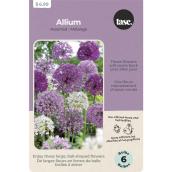 Tasc Assorted Fall Allium Bulbs - Vibrant Colours