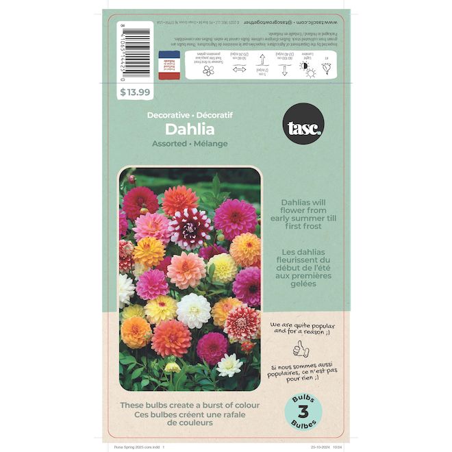TASC Assorted Decorative Dahlia Bulbs - 3/Pk