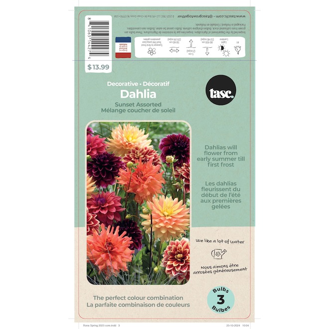 TASC Decorative Sunset Assorted Dahlia Bulbs - 3/Pk