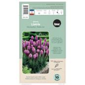 TASC Purple Blazing Star Liatris Spicata Bulbs - 10/Pk