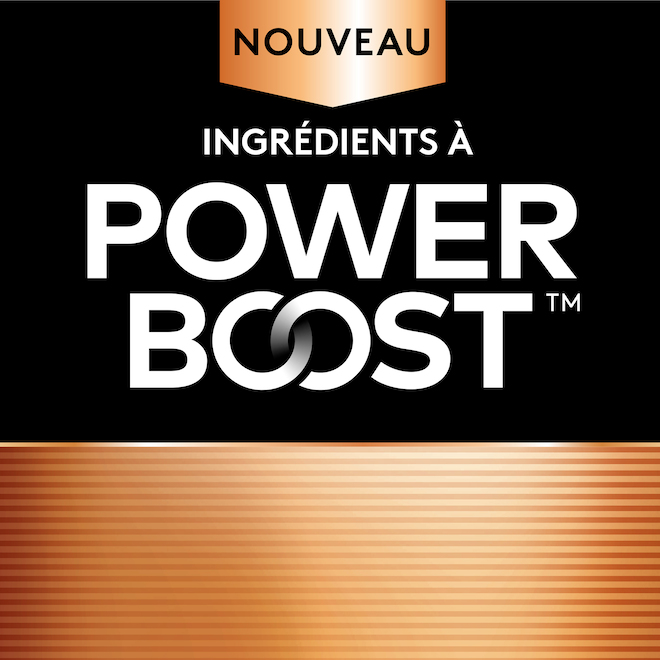 Piles alcalines AAA Coppertop Power Boost Duracell 16/pqt