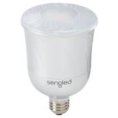 Pulse 13W Satellite for Pulse Bluetooth Speaker System