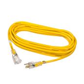 Exterior Extension Cord - Single Outlet - 125 V - 25'