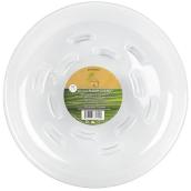Saucer - Clear