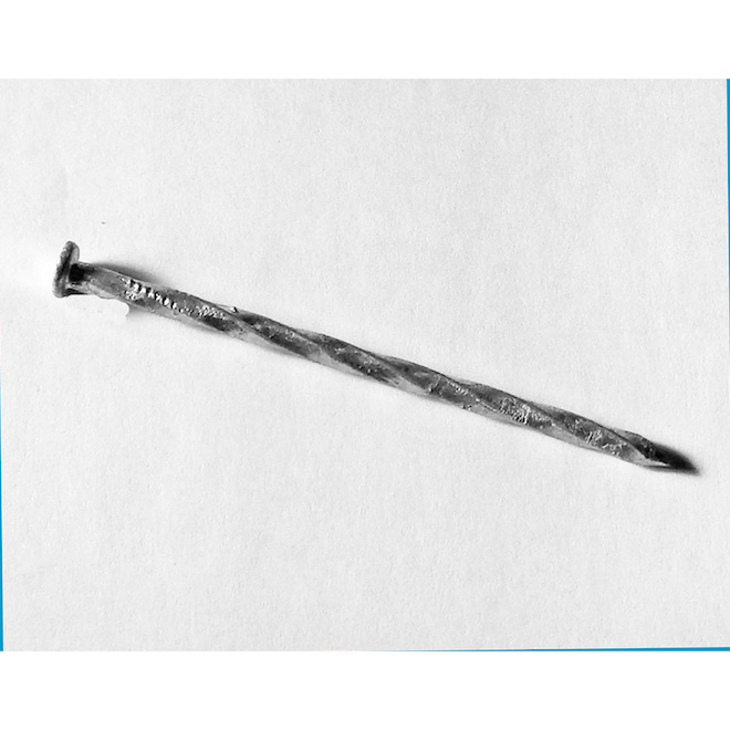 Tree Island 0.325-in Hot-Dipped Galvanized Spiral Spike