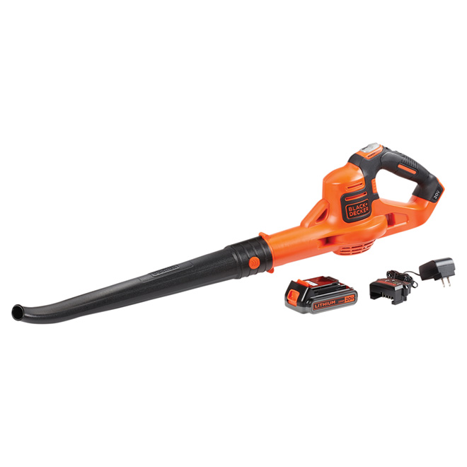 cordless leaf blower and weed eater