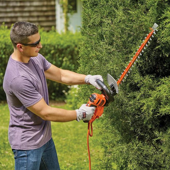 Review BLACK+DECKER HT20 3.8-Amp Hedge Trimmer, 20-Inch 