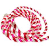 Holiday Living 18-ft Candy Cane Rope Light