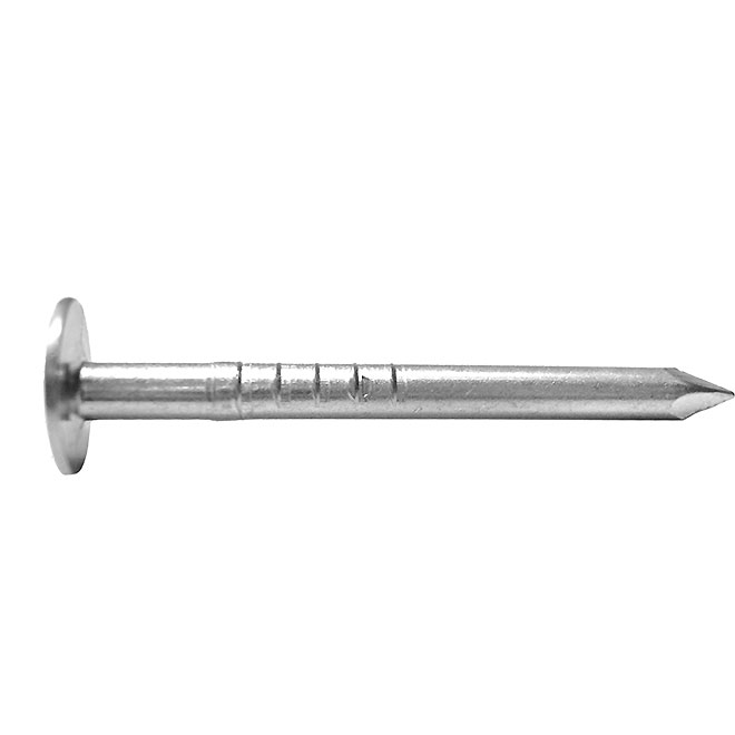 Duchesne Roofing Nails - Hot-dipped Galvanized - Smooth Shank - 460 Per  Pack - 1 1/4-in L 26800766 | RONA