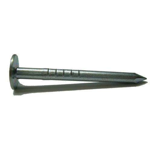 Duchesne Large-Head Roofing Nails - 4D x 1 1/2-in L - Electro-Galvanized Steel - 100 Per Pack