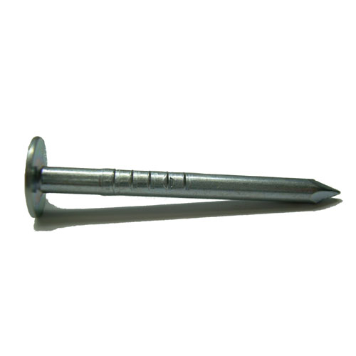 Duchesne Large-Head Roofing Nails - 6D x 2-in L - Electro-Galvanized Steel - 300 Per Pack
