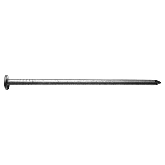Galvanized Steel Nails - 2" - 50 lb