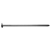 Galvanized Steel Nails - 2" - 50 lb