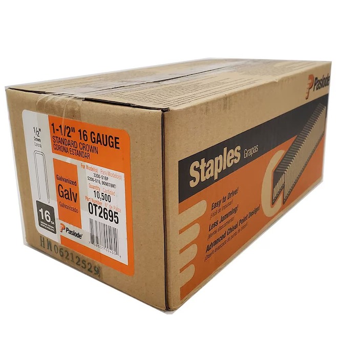 Agrafes standard Paslode, acier galvanisé, pointes de 1 1/2 po L. x couronne de 1/2 po l., 10 500 par paquet