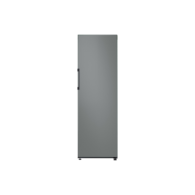 Samsung Bespoke Freezerless Refrigerator Panel - Grey RA-R23DAA31/AA | RONA