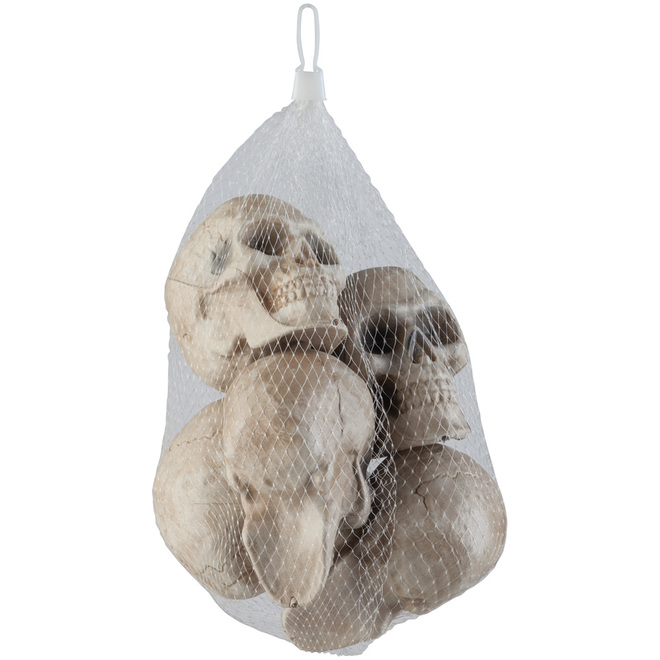 Holiday Living Decoration - Skull Bag - Plastic
