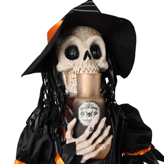 Animatronic Skeleton Witch with Potion - 3-ft - Battery Operated