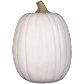 Holiday Living Plastic Fall Craft Pumpkin 13-in