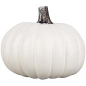 Holiday Living Plastic Fall Craft Pumpkin White 9-in