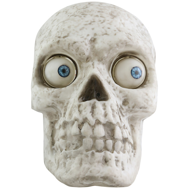Holiday Living Animatronic Lighted Musical Halloween Skull with Constant Blue LED Lights