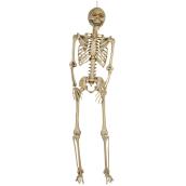 Holiday Living Giant Skeleton 7-ft